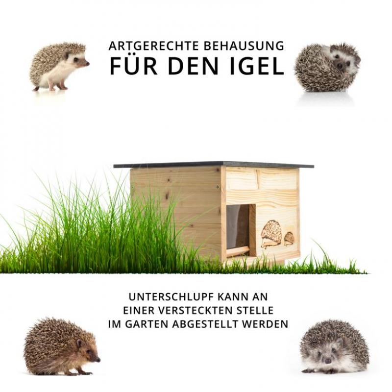 Igelhaus IG 4 Kaufen sie die perfekte Behausung für ihren Igel
